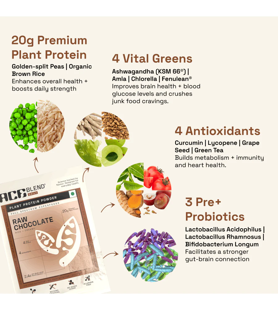 Ace Blend Premium Plant Protein Daily (Raw Chocolate)